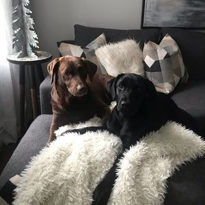 Meet your Posher, Krista